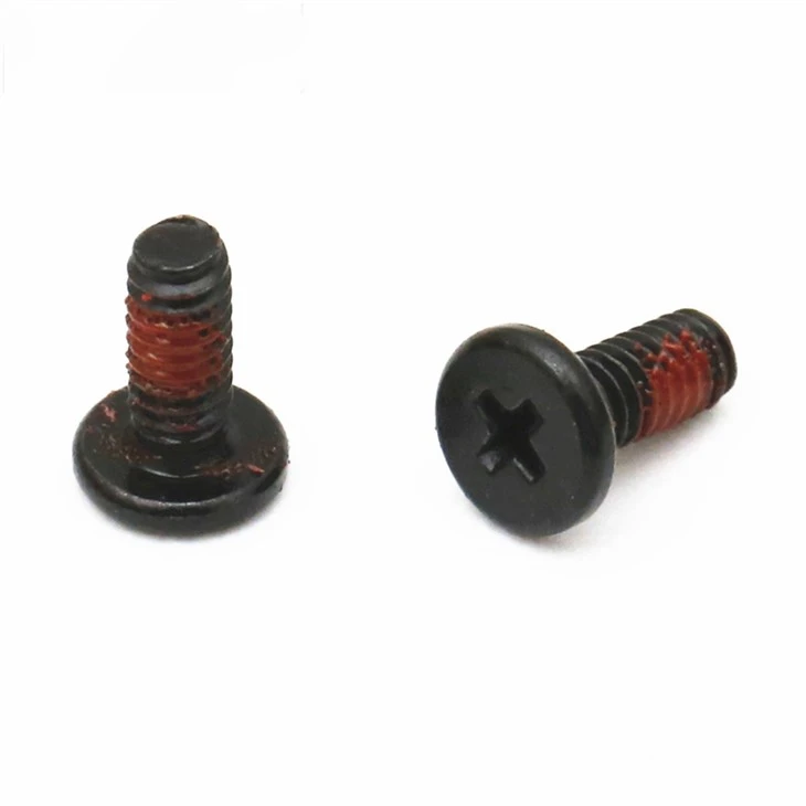 316 Stainless Steel Phillips Black Zinc Screw
