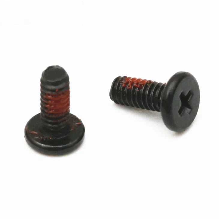 316 Stainless Steel Phillips Black Zinc Screw