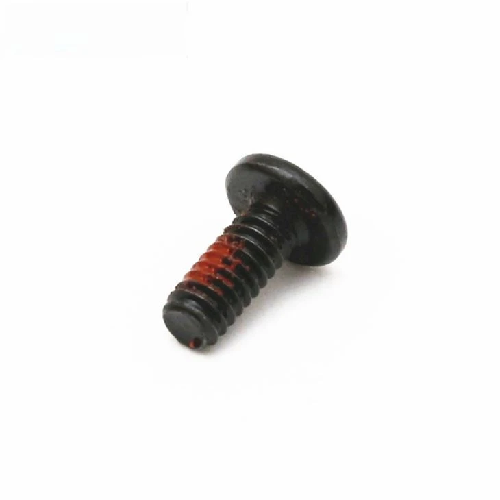 316 Stainless Steel Phillips Black Zinc Screw
