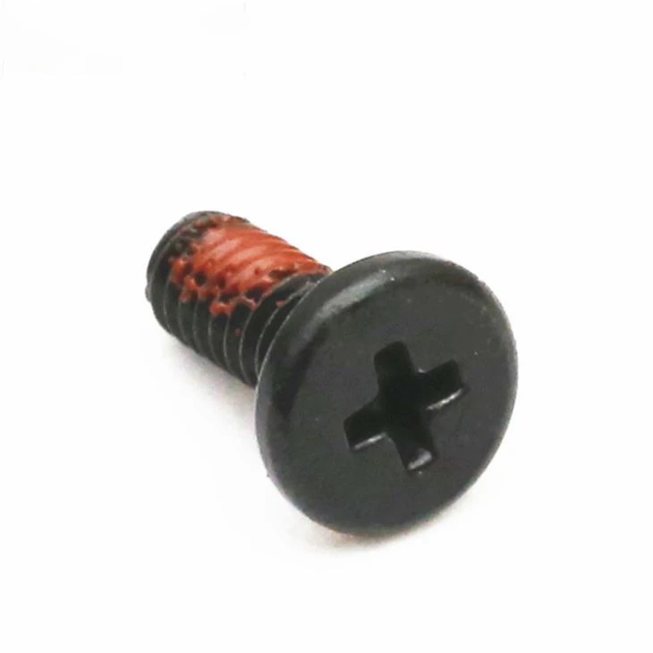 316 Stainless Steel Phillips Black Zinc Screw