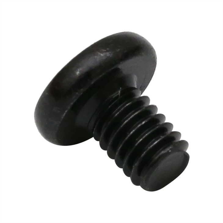 Small micro phillips black screw